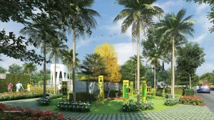 prestige marigold gallery 2