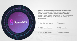 spacedex13
