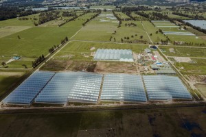 Aerial view Plena cultivation facility