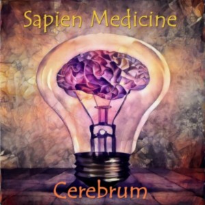 'Deep brain magnetic stimulation' , 'Radiate Positivity' by Sapien Medicine