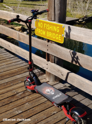 Adults Electric Scooters