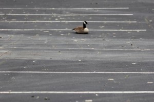 59371085 2363841067183974 1810379726590574592 n