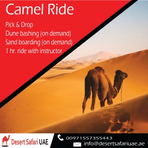 Camel Ride