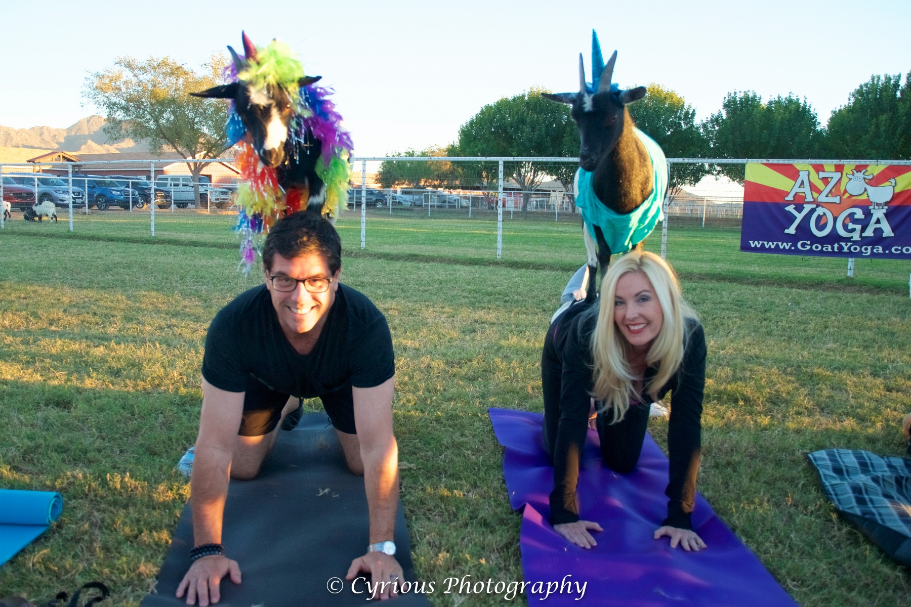 Goat Yoga Date Goat Yoga Date