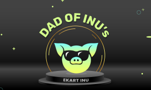 Ekart Inu Token
