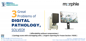 EPUCG COMPANY COLLABORATOR Morphlelabs UCG