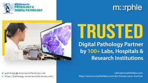 Supreme image quality 80X Slide scanners aiding Pathologists to report with confidence Global Shippi