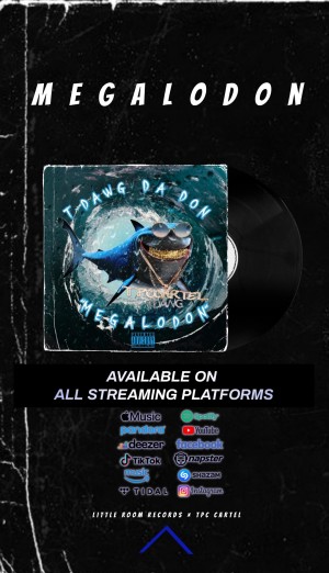 T-Dawg Da Don Megalodon Album Promotion Flyer