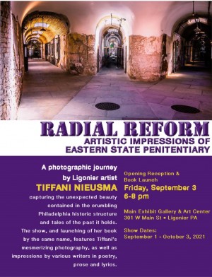 Radial Reform Book Cover