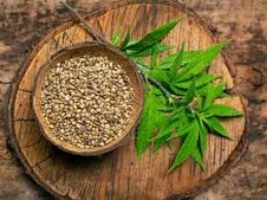 Hemp Seeds