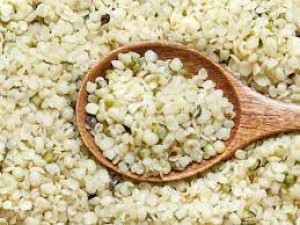 Hemp Seeds2