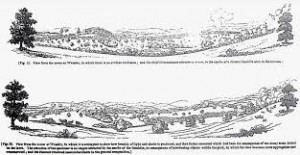Repton s design for Wembley Park