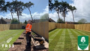 Local Cardiff Tree Surgeon