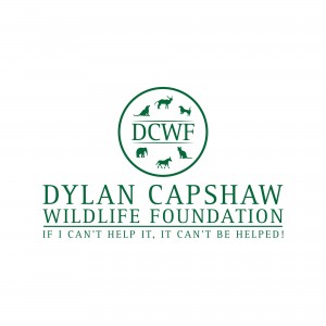 The Good Changes a Young Man is Making