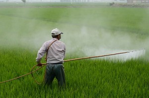 Crop Protection Chemicals Market