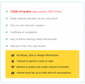 PSD Training Course Online