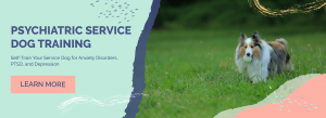 Psychiatric Service Dog Training