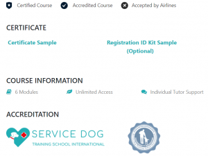 Service Dog Certification