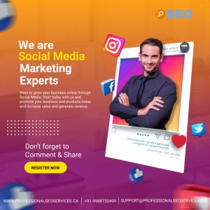 Professional SEO Services