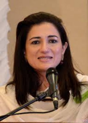 Yasmin Ansari, MD, a Geriatrician with Veterans Affairs Medical Center 