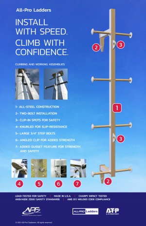 AP8616 Ladder Infographic 1