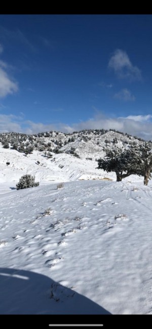 Hayatullah H Rahmatullah M Naim’s Book ‘Little Boy Big World’ Spins a Captivating Saga of Penetrable Realities