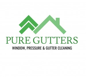 Gutter Cleaning Sydney