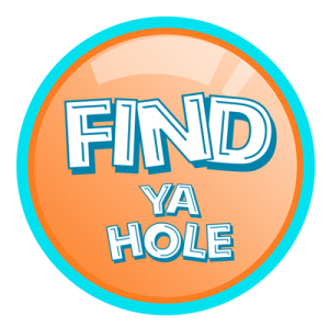 Findy Logo transparent