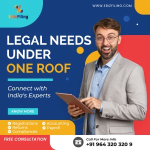 Ebizfiling India Private Limited-  A business that became a Brand