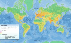 human footprint map 