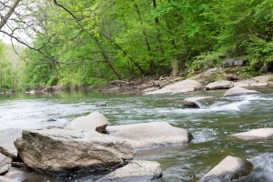 Cherry Ridge Consulting LLC