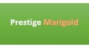 prestige marigold logo