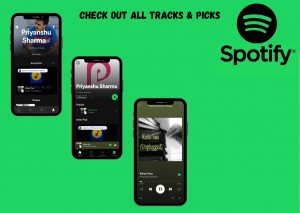 Playback Singer Priyanshu Sharma Describe your Music Seasons