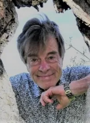 Leland Van Den Daele, PhD, FAACP, Clinical Developmental Psychologist and Psychoanalyst