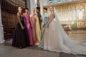 Kaffa Mockbill photo: Peter Hogan