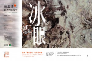 MEGO NFT Gallery by Openlake.io