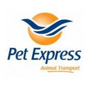 Safely Take Your Pet With You To The US