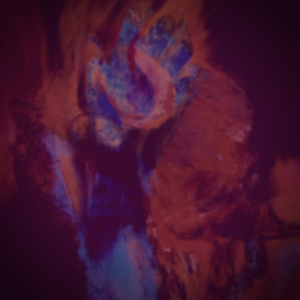 ‘Dignity (with MANA)’ and ‘Open Highway (with MANA)’ by Danny G Felix