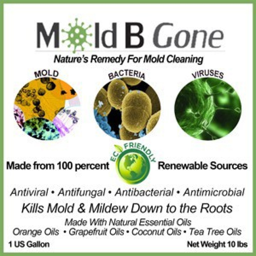 Now You Can Reduce Mold Removal Time & Decrease Labor Costs ! IssueWire