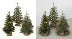 background removal sample 8 600x