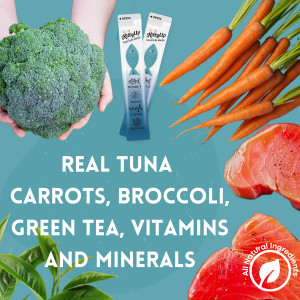 Copy of Kitty Up PDP Images 2