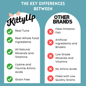 Copy of Kitty Up PDP Images 5