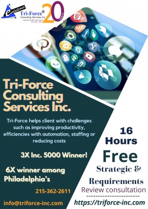 16 hours free strategic and requirements review consultation