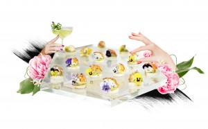 New branding that revolves around surrealistic photo collages by Rebecca Coltorti