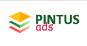 Reach Your Target Audience Effectively With Brilliant Services Provided By Pintus Ads