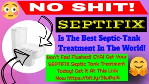 SEPTIFIX NO SHIT THUMBNAIL IMAGE