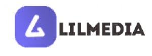 Make A Difference With Lilmedia Along With Its E-Commerce & Web Development Strategies