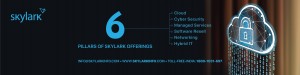 6 Pillars of Skylark Offerings