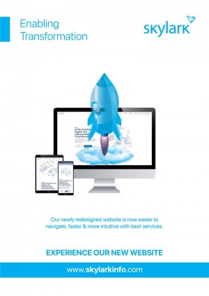 Skylarkinfo IT Infrastructure Services