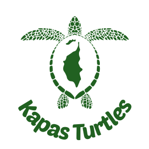 kapasturtles logo greenwhite